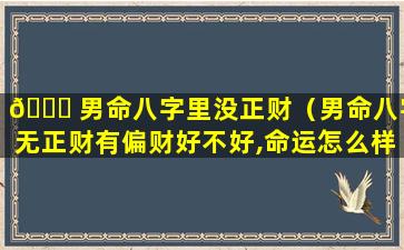 💐 男命八字里没正财（男命八字无正财有偏财好不好,命运怎么样）